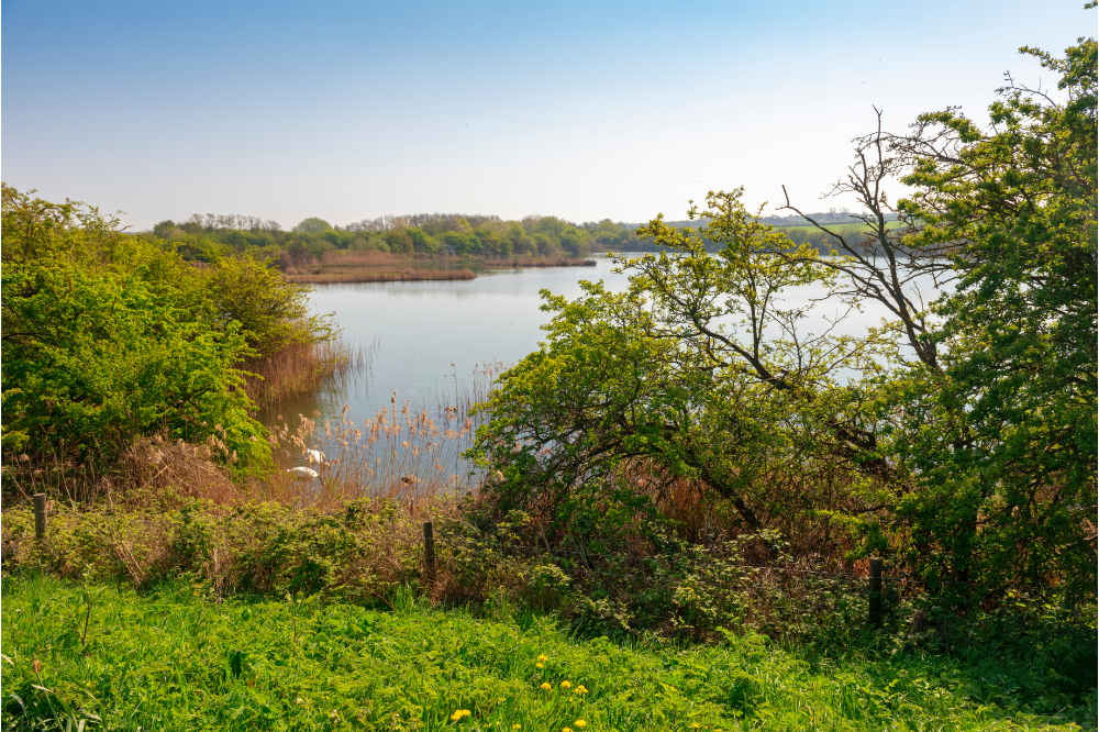 a fishing lake in lincolnshire