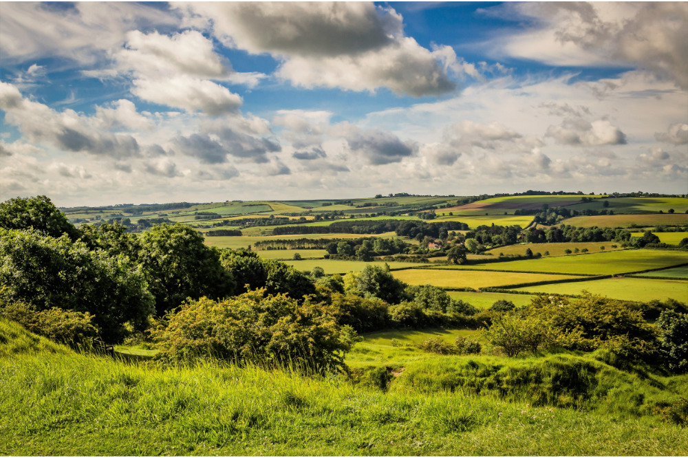 a view of lincolnshire